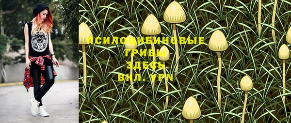 марки lsd Лагань