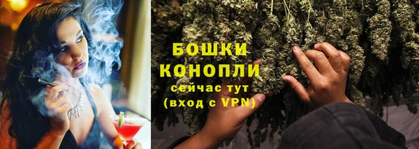 гидропоника Ладушкин