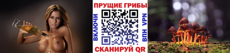 Псилоцибиновые грибы мицелий  Купить  Могоча 